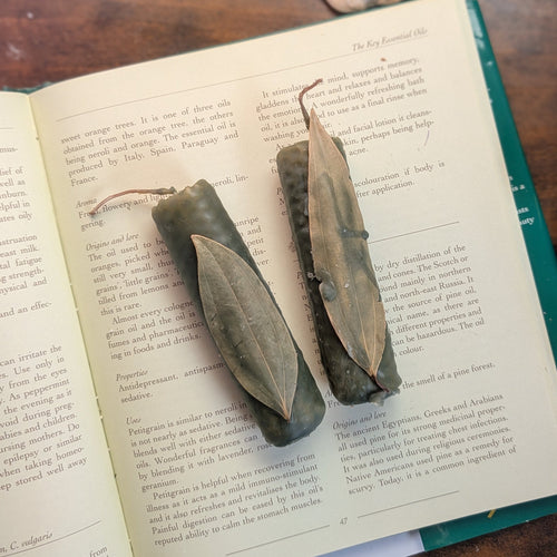 Two prosperity beeswax ritual candles on the pages of an open book, placed on a dark wooden tabletop with small decorative props nearby.