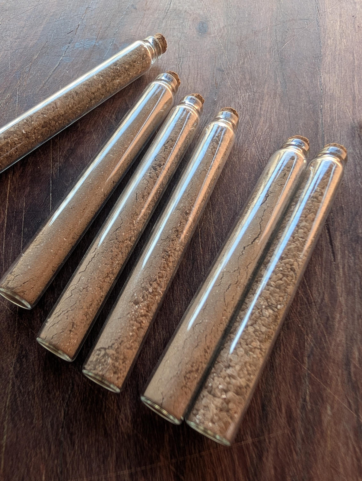 Living black salt starter | Protective altar salt