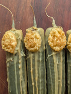 Athena devotion candle | Goddess altar beeswax candle