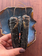Banishing ritual beeswax candle | Altar cleansing candle