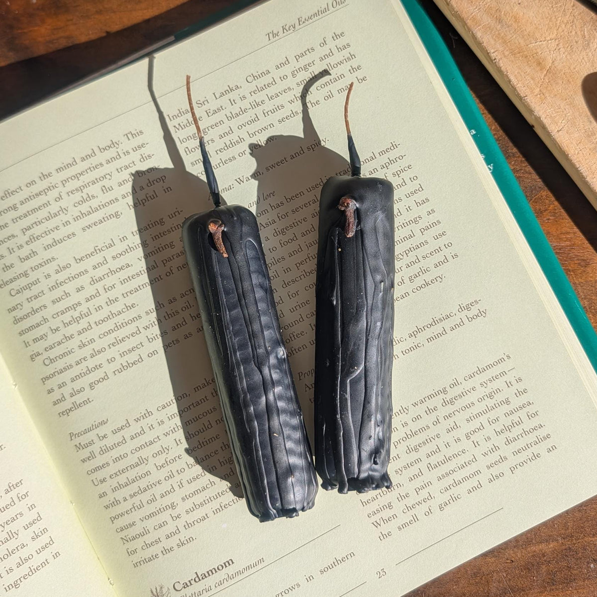 Witch's ward ritual beeswax candle | Protection altar candle
