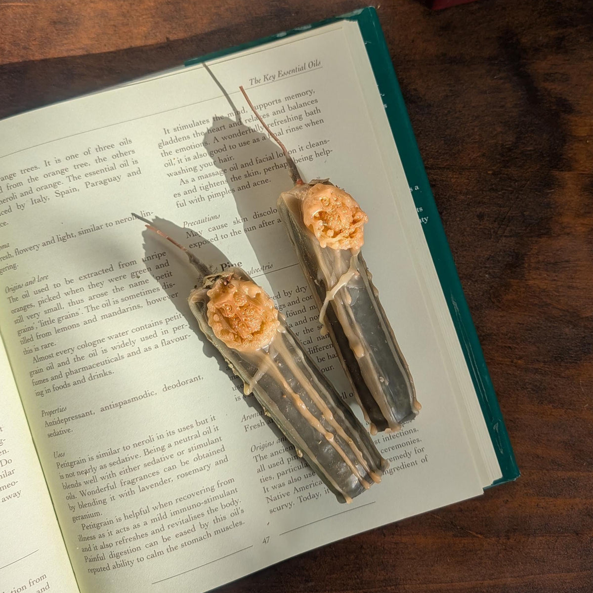 Athena devotion candle | Goddess altar beeswax candle